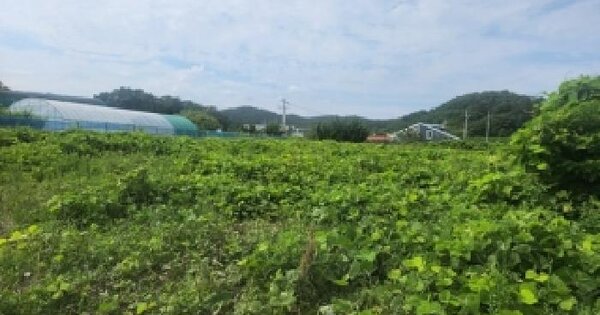 부산광역시 기장군 기장읍 죽성리 107  미지정 경매 물건 이미지
