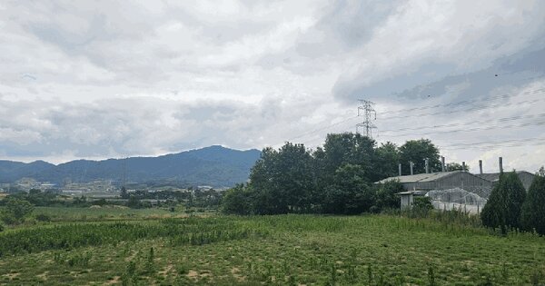 전라남도 영광군 대마면 홍교리 406-1  미지정 경매 물건 이미지