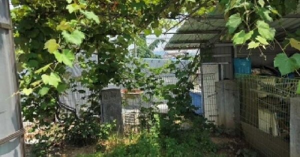 충청남도 아산시 신창면 남성리 427-7  미지정 경매 물건 이미지