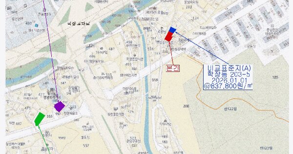 부산광역시 사상구 학장동 203-4  미지정 경매 물건 이미지