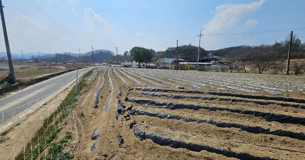 경상북도 안동시 풍산읍 매곡리 26-1 답 경매 물건 이미지