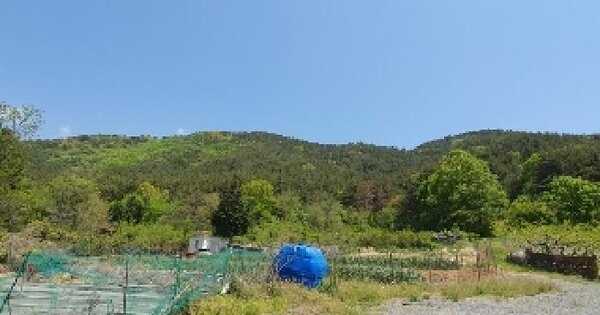 경상남도 창원시 마산합포구 구산면 마전리 OOOOO 임야 경매 물건 이미지