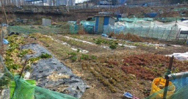 경상남도 거제시 아주동 OOOO 답 경매 물건 이미지