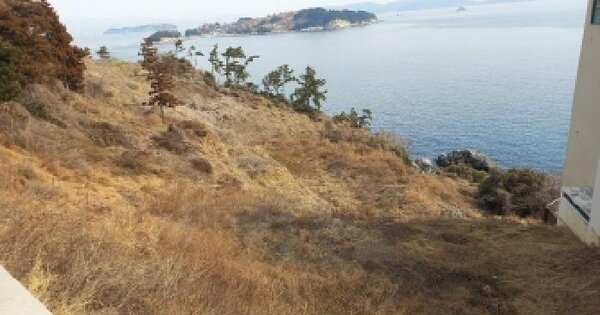 경상남도 거제시 장목면 외포리 OOO 전 경매 물건 이미지