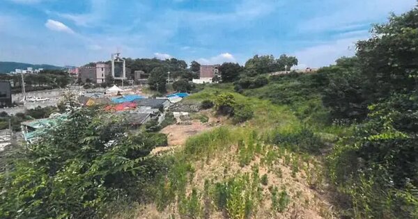 충청남도 서천군 서천읍 군사리 782 전 경매 물건 이미지