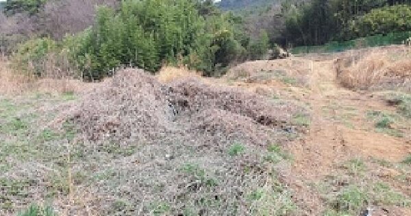 경상남도 김해시 주촌면 선지리 OOOOO 전 경매 물건 이미지