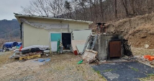 경상남도 창원시 마산합포구 진동면 태봉리 OOO 임야 경매 물건 이미지
