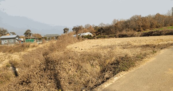 경기도 평택시 현덕면 운정리 204-2 전 경매 물건 이미지