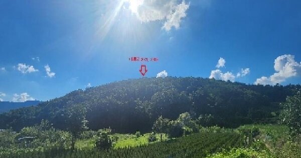 충청북도 옥천군 이원면 미동리 231 임야 경매 물건 이미지