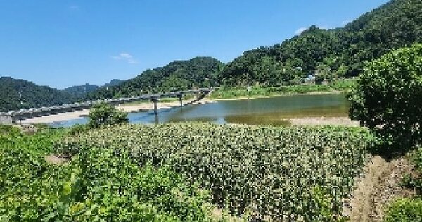 충청북도 옥천군 동이면 청마리 226-2 전 경매 물건 이미지