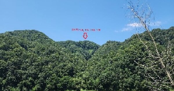 충청북도 옥천군 동이면 청마리 145 답 경매 물건 이미지