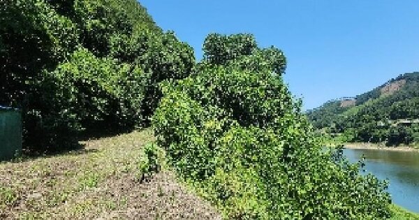 충청북도 옥천군 동이면 청마리 168-2 전 경매 물건 이미지