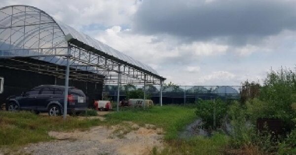 충청남도 천안시 서북구 입장면 신두리 374-3 과수원 경매 물건 이미지