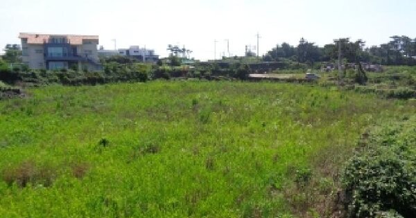 제주특별자치도 제주시 애월읍 애월리 1906-1 전 경매 물건 이미지