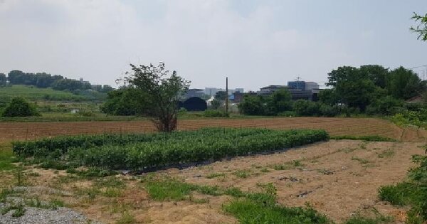 충청남도 천안시 서북구 업성동 261-1  미지정 경매 물건 이미지