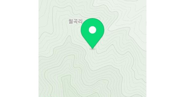 경상북도 성주군 초전면 월곡리 산65-3  미지정 경매 물건 이미지
