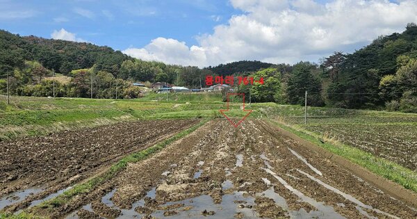 충청남도 청양군 남양면 용마리 OOOOO 답 경매 물건 이미지