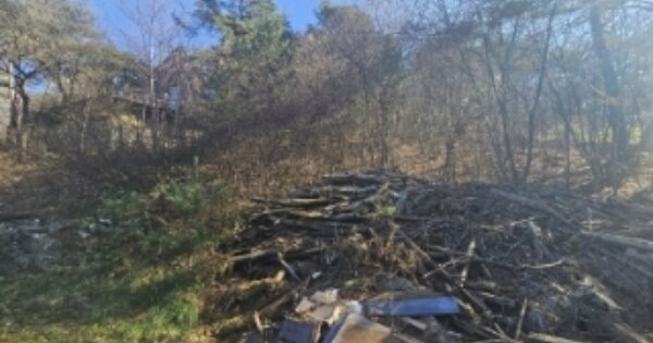 충청북도 단양군 단양읍 별곡리 OOO 근린주택 경매 물건 이미지