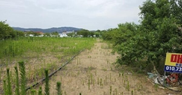 경상북도 성주군 선남면 도흥리 804-7  미지정 경매 물건 이미지