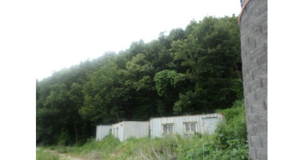 경기도 남양주시 진접읍 금곡리 OOO 임야 경매 물건 이미지