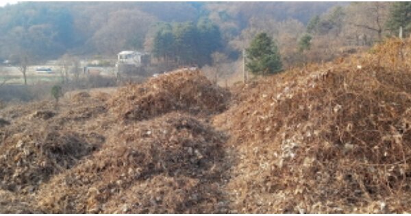 경기도 포천시 소흘읍 직동리 OOOOOO 대지 경매 물건 이미지