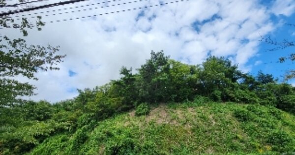 울산광역시 동구 동부동 O OOOOO 임야 경매 물건 이미지