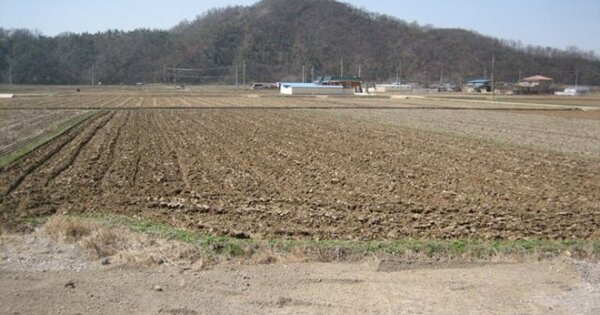 경상북도 문경시 창동 OOO 답 경매 물건 이미지