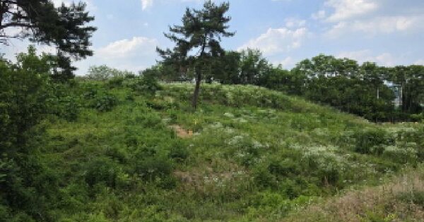 경상북도 성주군 성주읍 예산리 650-2  미지정 경매 물건 이미지