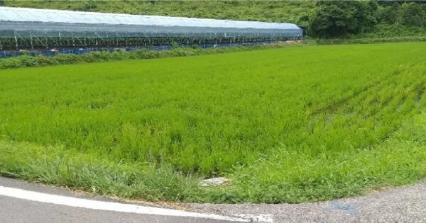 충청북도 영동군 매곡면 어촌리 406 답 경매 물건 이미지