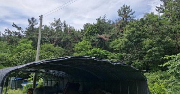 경기도 안산시 단원구 대부동동 산269-5 임야 경매 물건 이미지