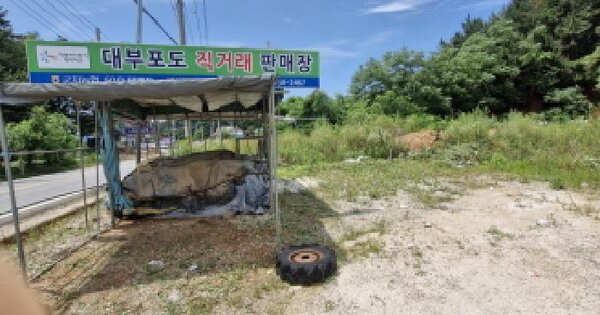 경기도 안산시 단원구 대부동동 218-14 전 경매 물건 이미지