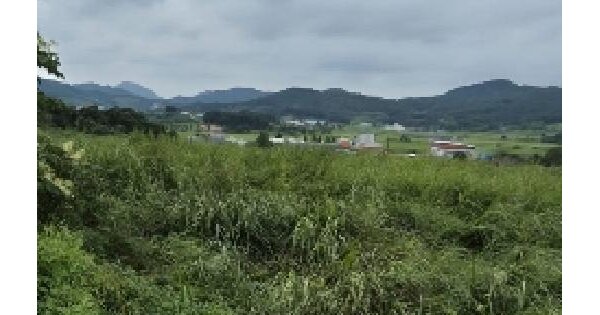 전라남도 영광군 묘량면 운당리 346-9 전 경매 물건 이미지