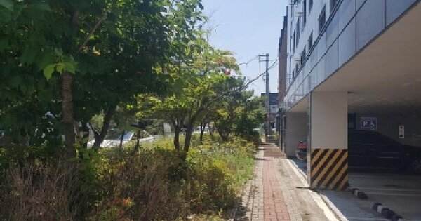 충청남도 천안시 동남구 봉명동 11-8  미지정 경매 물건 이미지