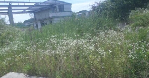전북특별자치도 전주시 덕진구 호성동2가 476-1  미지정 경매 물건 이미지