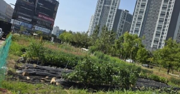 경기도 화성시 만세구 새솔동 111-7  미지정 경매 물건 이미지