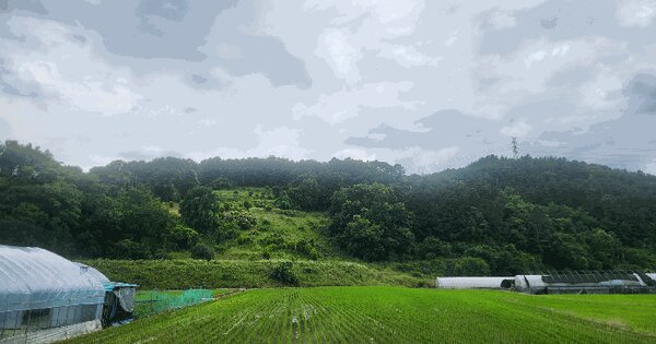 세종특별자치시  금남면 국곡리 92-12  미지정 경매 물건 이미지