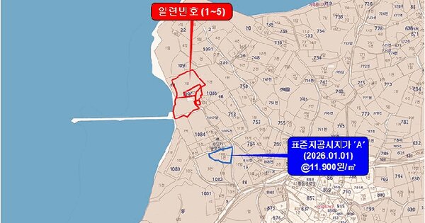 전라남도 무안군 운남면 내리 1090  미지정 경매 물건 이미지