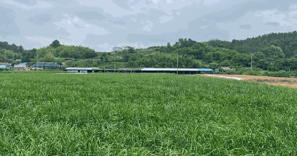 경상남도 사천시 서포면 자혜리 539  미지정 경매 물건 이미지