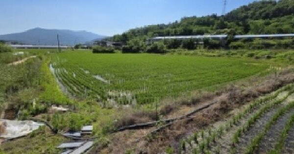 경상북도 구미시 선산읍 신기리 232  미지정 경매 물건 이미지