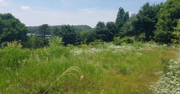 충청남도 천안시 동남구 수신면 장산리 97-6  미지정 경매 물건 이미지