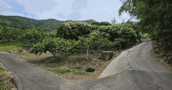 경상남도 산청군 시천면 반천리 45  미지정 경매 물건 이미지