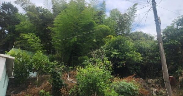 전라남도 여수시 돌산읍 우두리 산52  미지정 경매 물건 이미지