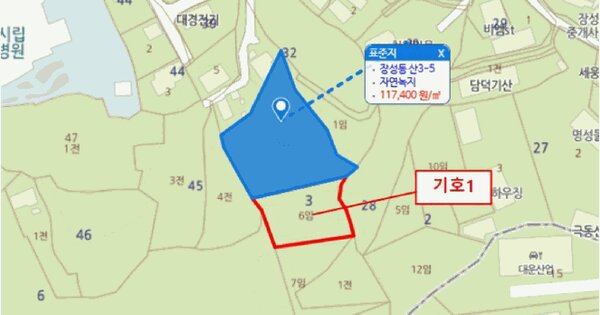 충청북도 청주시 서원구 장성동 산3-6  미지정 경매 물건 이미지