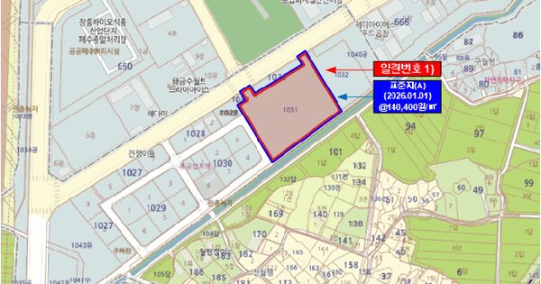 전라남도 장흥군 장흥읍 향양리 1031  미지정 경매 물건 이미지