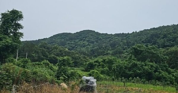 전라남도 진도군 진도읍 산월리 27  미지정 경매 물건 이미지
