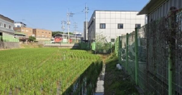 경기도 파주시 상지석동 170-1  미지정 경매 물건 이미지