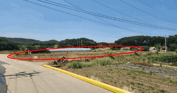 충청남도 당진시 면천면 성하리 447-7  미지정 경매 물건 이미지