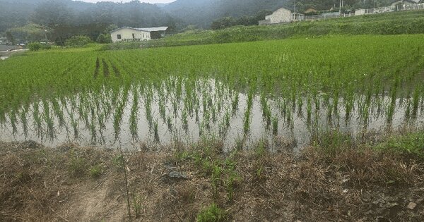 경상북도 경주시 산내면 의곡리 99-1  미지정 경매 물건 이미지