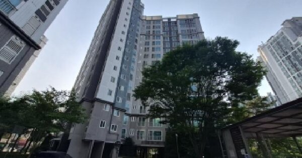 전북특별자치도 군산시 지곡동 609 지곡동엠코타운 106동 9층904호 미지정 경매 물건 이미지