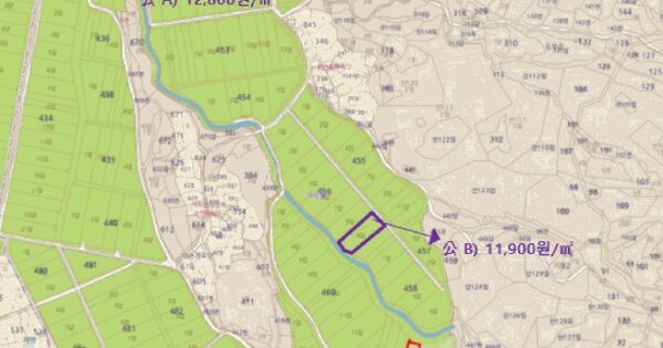 전라남도 곡성군 입면 금산리 433-9  미지정 경매 물건 이미지